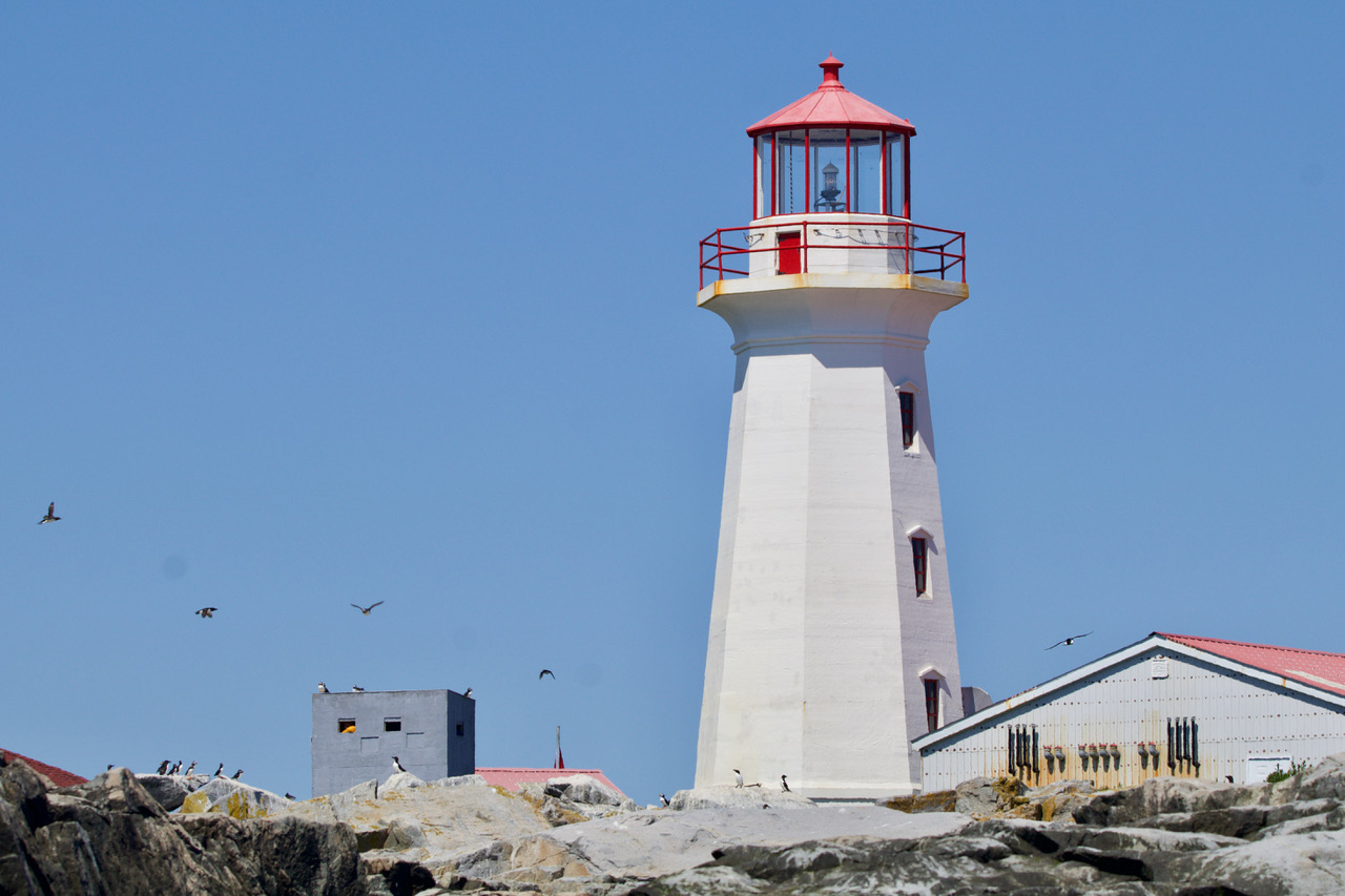 Machias Seal Island Light and blind